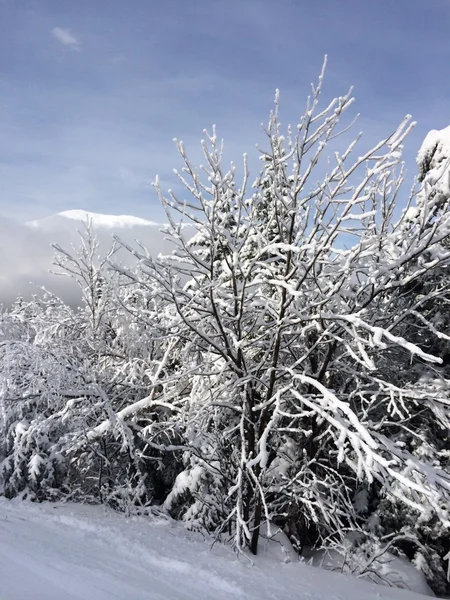 Declive nevado nas montanhas — Fotografia de Stock