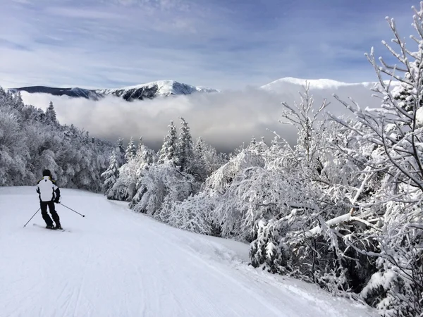 Besneeuwde helling in de bergen — Stockfoto