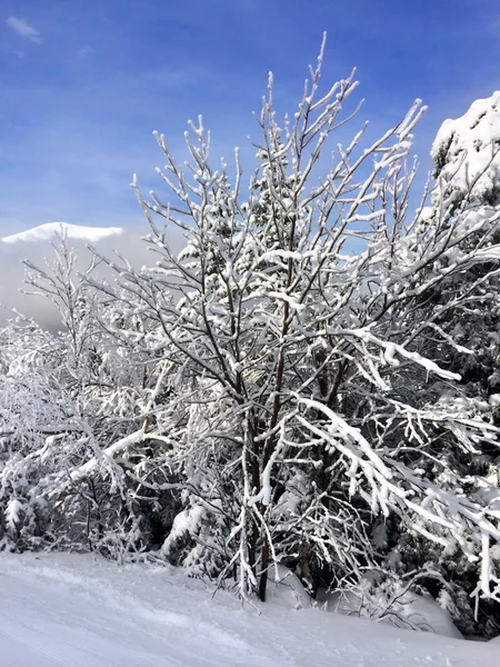Declive nevado nas montanhas — Fotografia de Stock