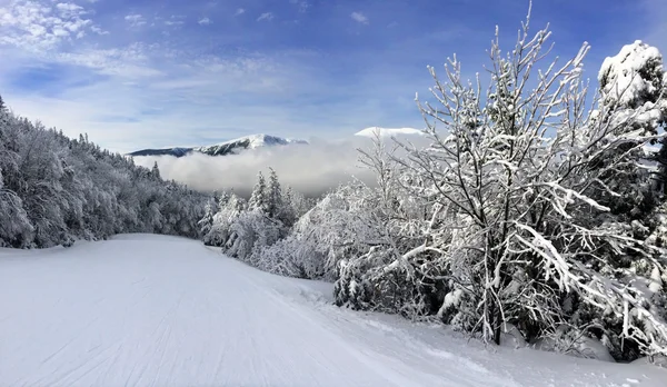 Declive nevado nas montanhas — Fotografia de Stock