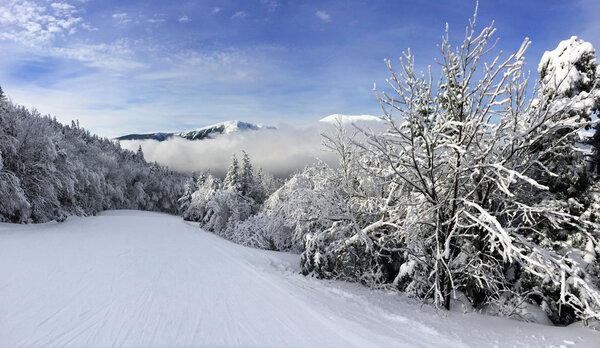 Snowy slope in the mountains