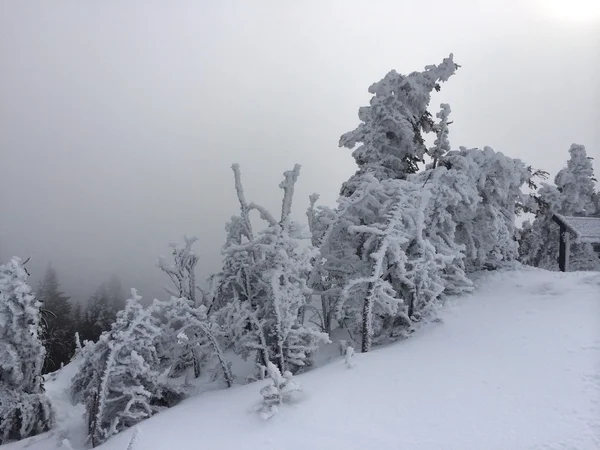 Declive nevado nas montanhas — Fotografia de Stock