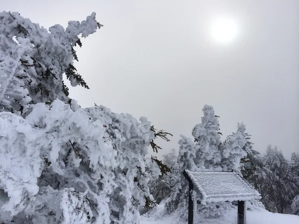 산에서 설 면의 그림자 — 스톡 사진