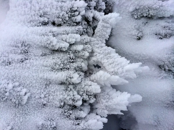 Snöig backe i bergen — Stockfoto