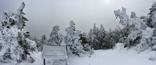 Declive nevado nas montanhas — Fotografia de Stock