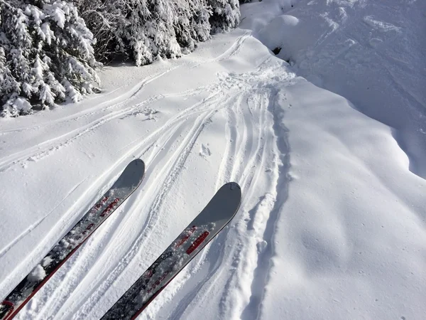 Piste innevate in montagna — Foto Stock