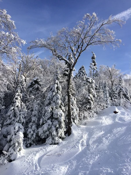 Piste enneigée dans les montagnes — Photo