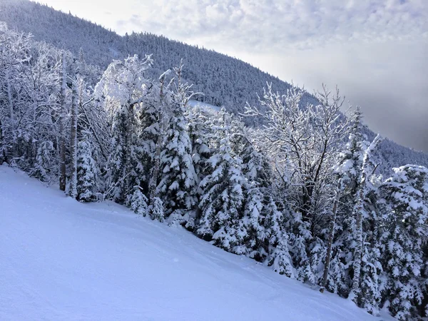 Pendiente nevada en las montañas —  Fotos de Stock