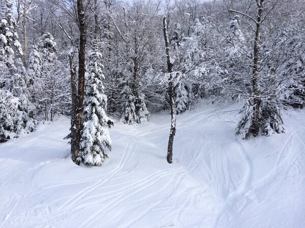 Snowy slope in the mountains
