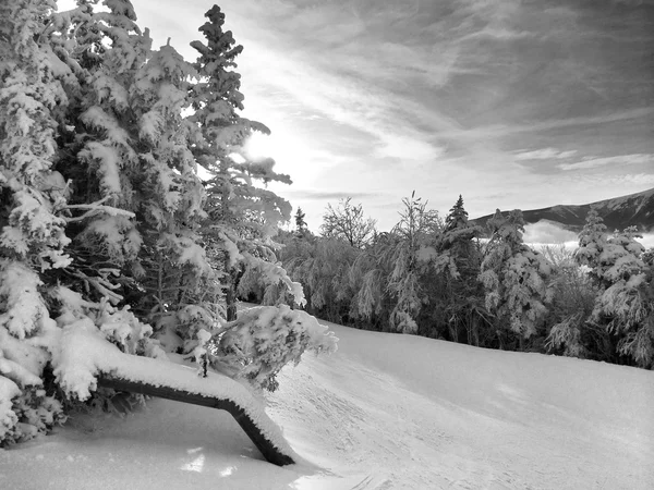 Declive nevado nas montanhas — Fotografia de Stock