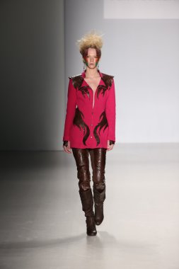 Hendrik Vermeulen koleksiyonu