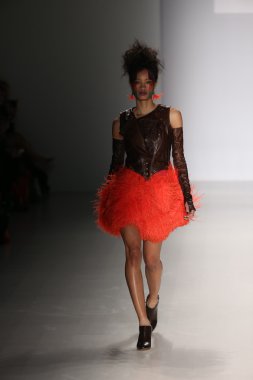 Hendrik Vermeulen koleksiyonu