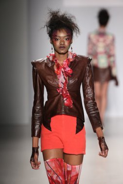 Hendrik Vermeulen koleksiyonu