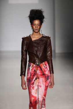 Hendrik Vermeulen koleksiyonu