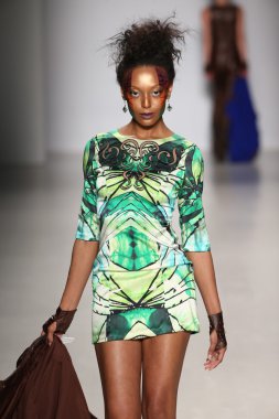 Hendrik Vermeulen koleksiyonu