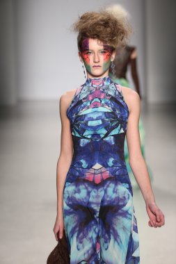 Hendrik Vermeulen koleksiyonu