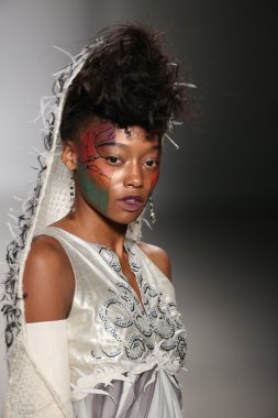 Hendrik Vermeulen koleksiyonu