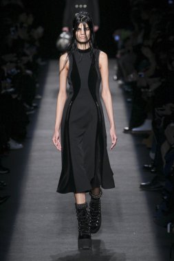 Model giyen Alexander Wang