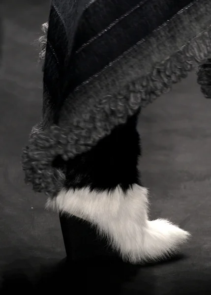 Анна Sui показ мод — стокове фото
