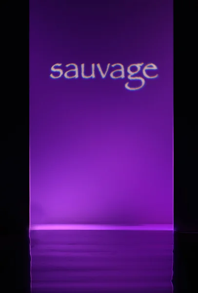 Sauvage fashion show — Stock Photo, Image