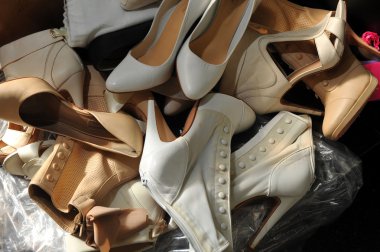 Delphine Manivet gelin pist Show
