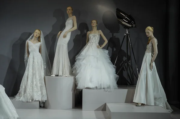 Toast naar Tony Ward: Speciale Bridal Collection — Stockfoto