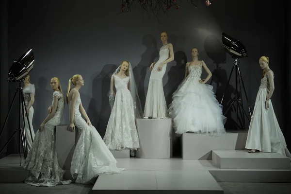 Brindis por Tony Ward: Colección nupcial especial —  Fotos de Stock