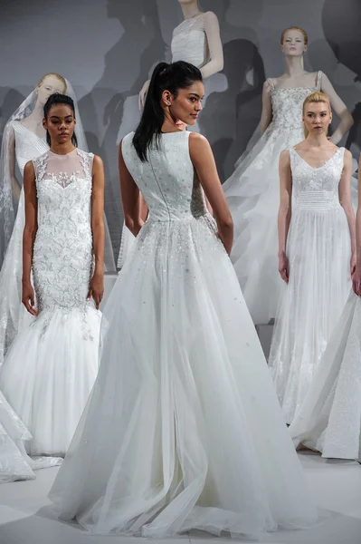 Toast naar Tony Ward: Speciale Bridal Collection — Stockfoto