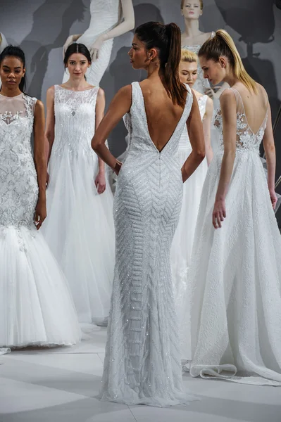 Toast naar Tony Ward: Speciale Bridal Collection — Stockfoto