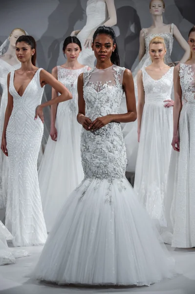 Toast naar Tony Ward: Speciale Bridal Collection — Stockfoto