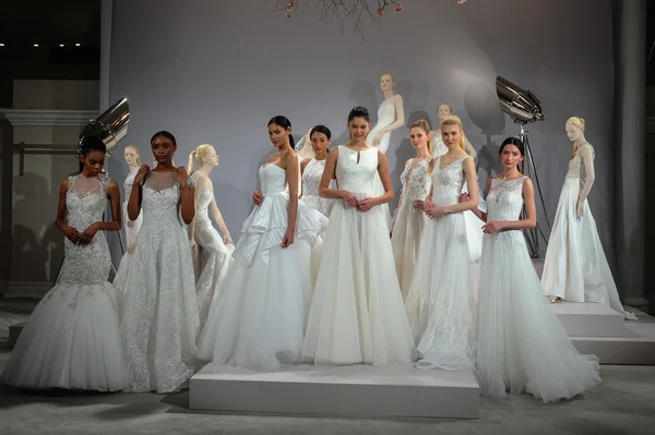 Toast à Tony Ward : Collection spéciale pour mariée — Photo