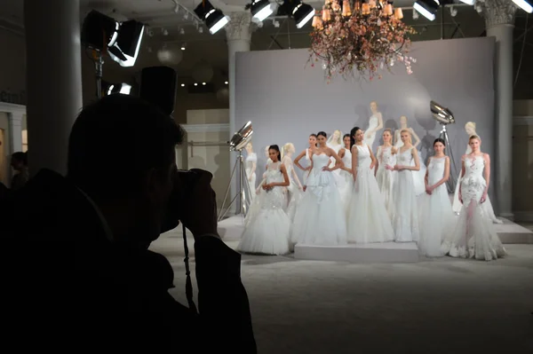 Toast à Tony Ward : Collection spéciale pour mariée — Photo