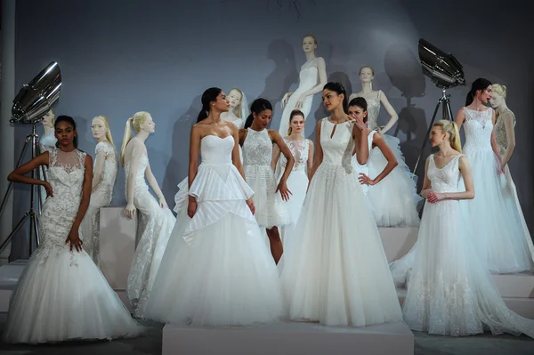 Toast à Tony Ward : Collection spéciale pour mariée — Photo