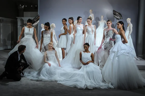 Brindis por Tony Ward: Colección nupcial especial —  Fotos de Stock