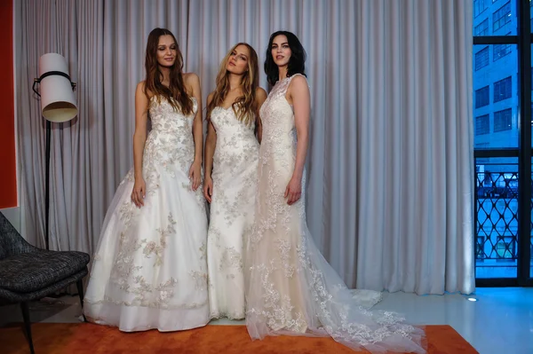 米歇尔 · 罗斯的新娘装系列 — 图库照片
