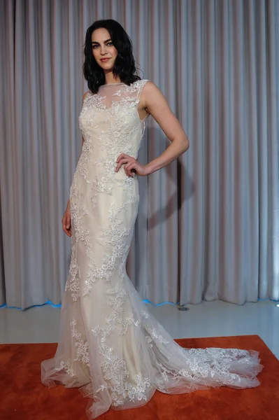 米歇尔 · 罗斯的新娘装系列 — 图库照片