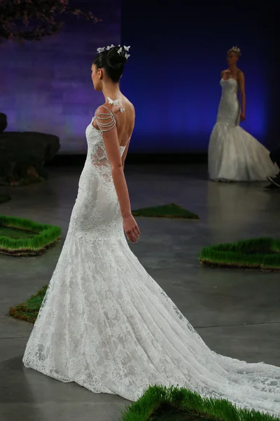 Ines Di Santo Bridal Show — Stock Photo, Image