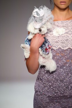 Anthony Rubio fashion show