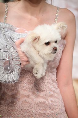 Anthony Rubio fashion show