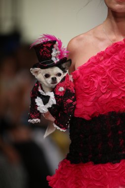 Anthony Rubio fashion show