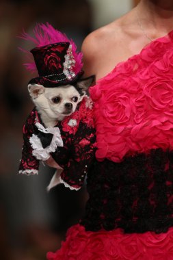 Anthony Rubio fashion show