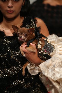 Anthony Rubio fashion show