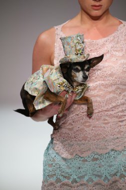 Anthony Rubio fashion show