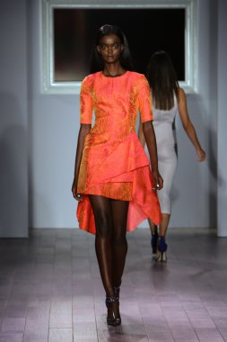 Raul Penaranda fashion show