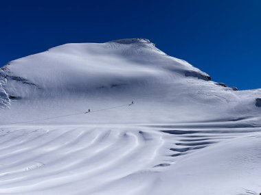 Yüksek irtifada karlı bir tepe ve derin mavi gökyüzünün altında el değmemiş bir buzulu geçen küçük kayakçılar. İsviçre Alplerinin sakin kış manzarası.