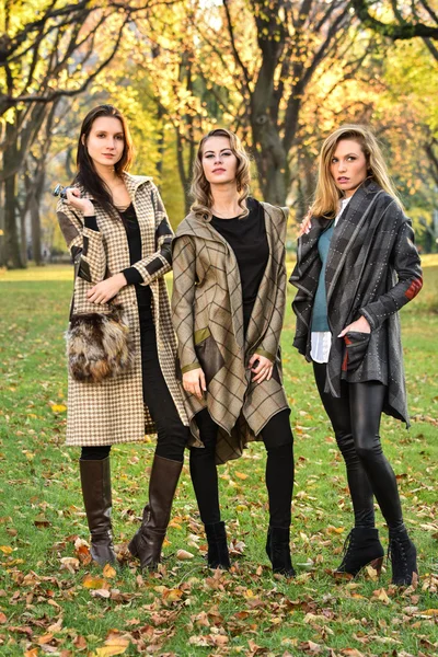 Bellissimi modelli in autunno abiti eleganti — Foto Stock