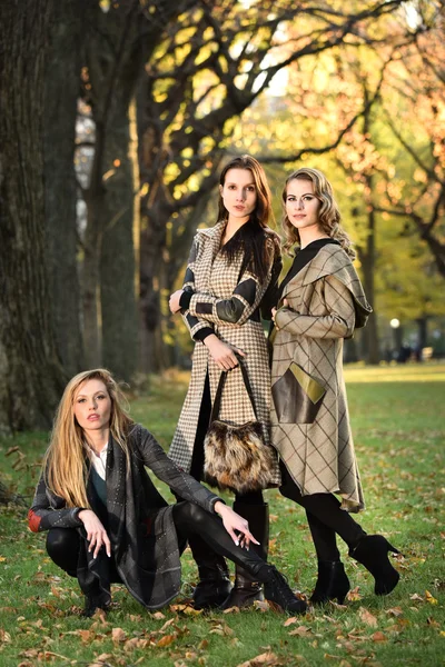 Bellissimi modelli in autunno abiti eleganti — Foto Stock