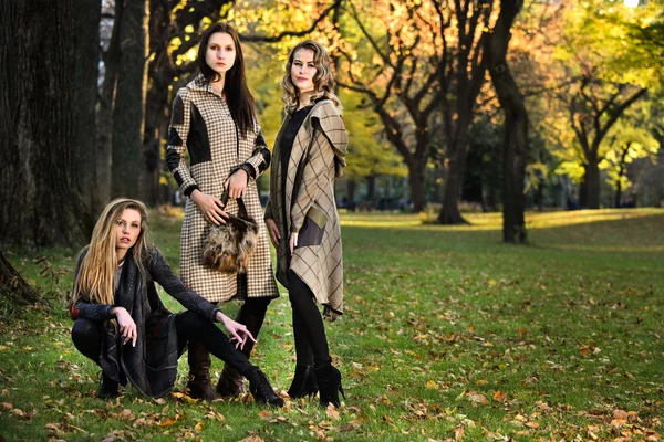 Bellissimi modelli in autunno abiti eleganti — Foto Stock