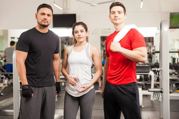 Men and a woman ready to exercise — Stock Photo, Image