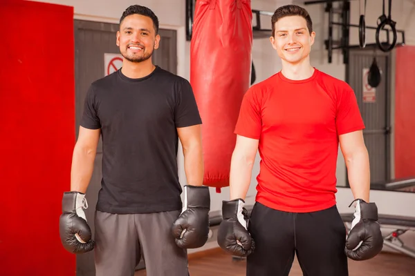 Amigos usando luvas de boxe — Fotografia de Stock